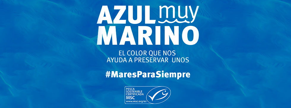 Imagen destacada 3